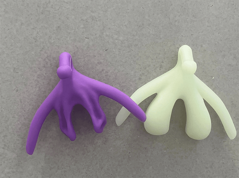 Anatomical model showing Clitoris non-aroused and aroused