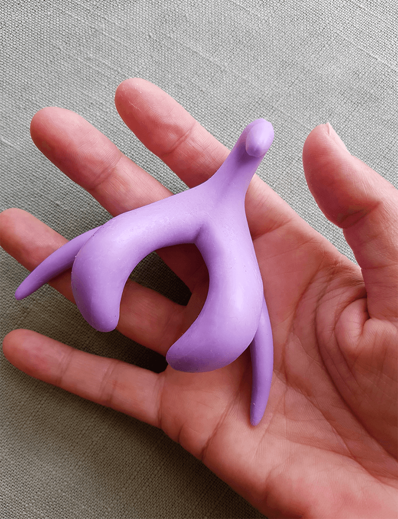 Anatomical model of a Clitoris