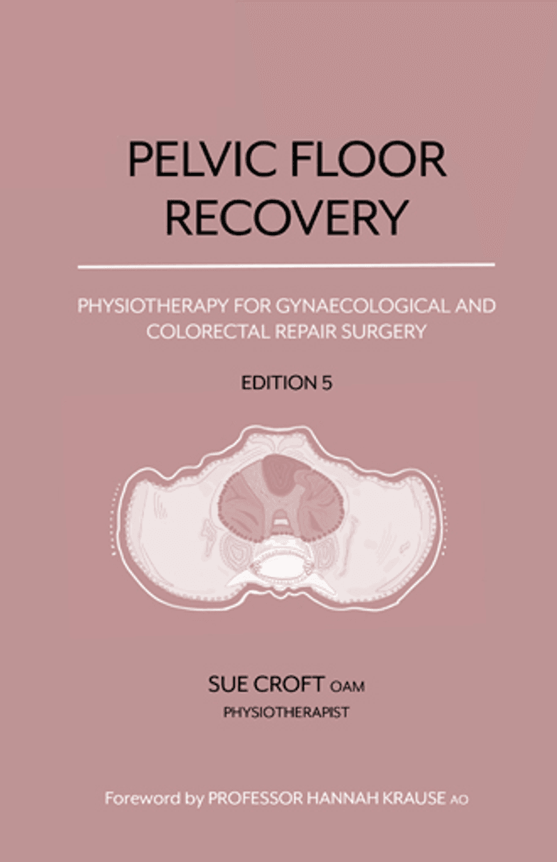 Cover image for Pelvic Floor Recovery