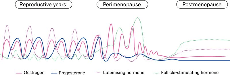 Schematic of gonadal hormone fluctuations in mid to later life in women.