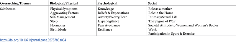 Table 4. Overarching themes and subthemes